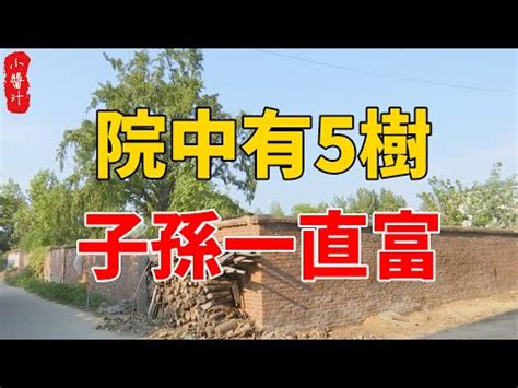 庭院風水樹|風水大師：家中要種就種這些樹，能改善家中風水，帶。